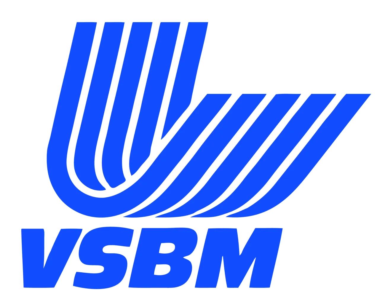 Logo Verband der Schweizerischen Baumaschinenwirtschaft